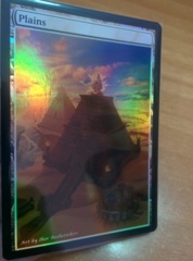 Plains #15 Foil Extended